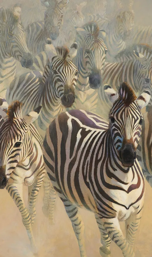 EasyStyle Dekor 44B Zebras