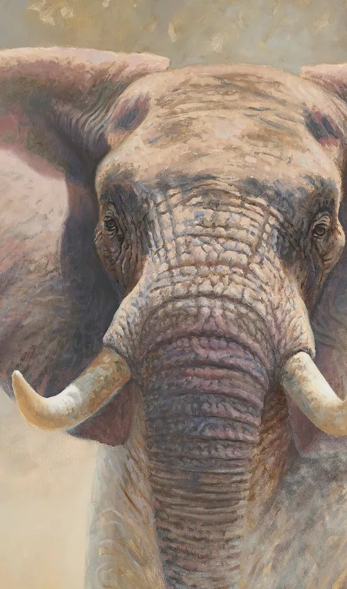 EasyStyle Dekor 44D Elephant